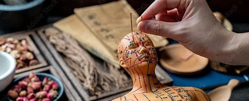 福建中医药大学 – 纽约举行中医讲座和义诊活动2024