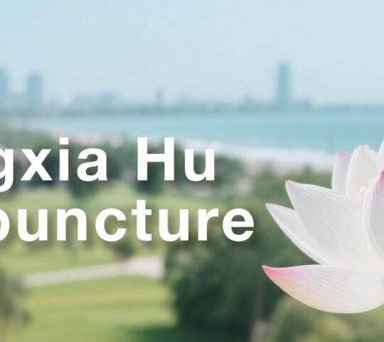 Hongxia Hu – Sunny Bean Acupuncture PLLC