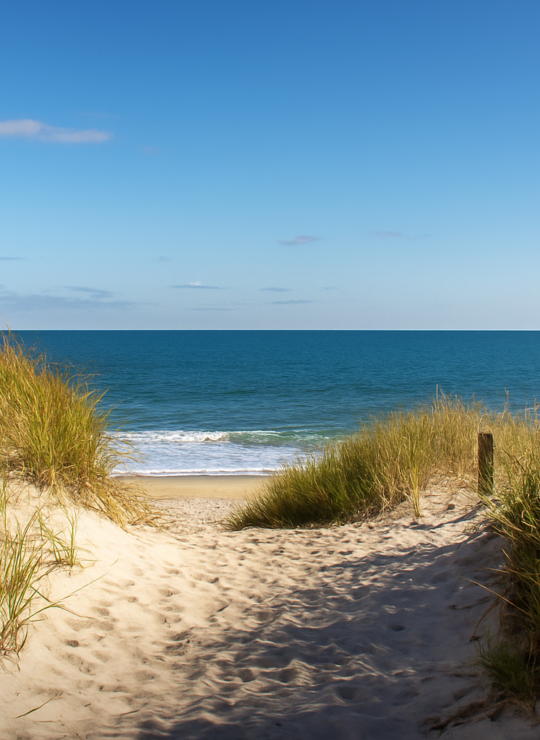Suffolk County