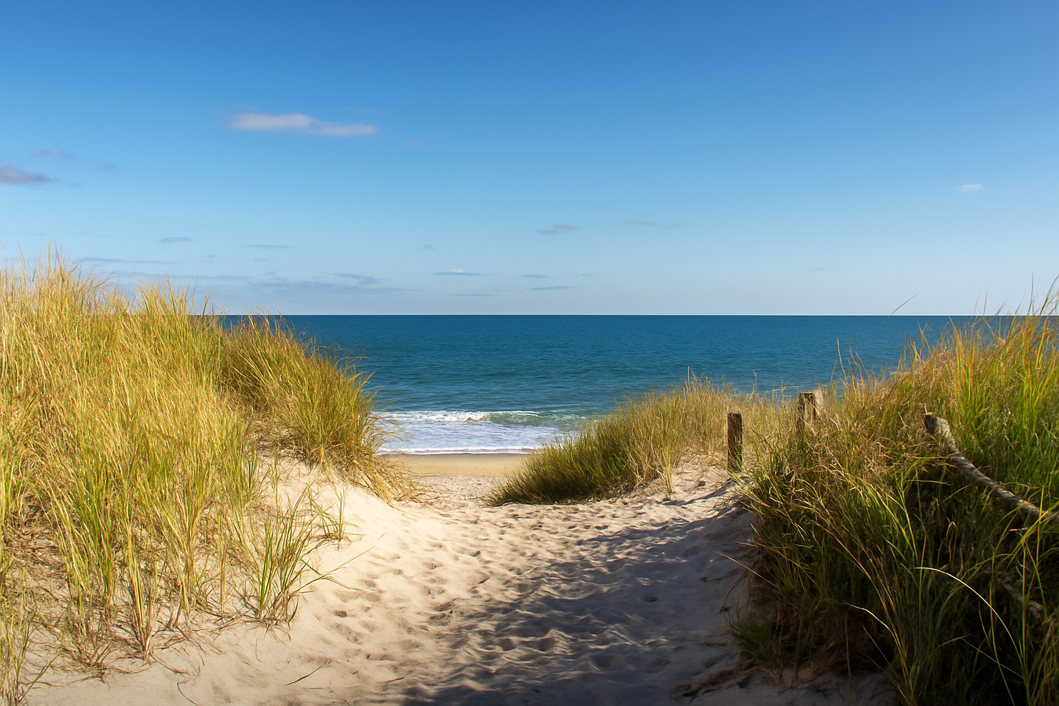 Suffolk County